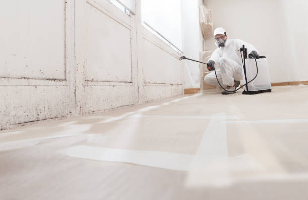 Trusted Mold Testing service in Linden, MI - WQB Mold Removal