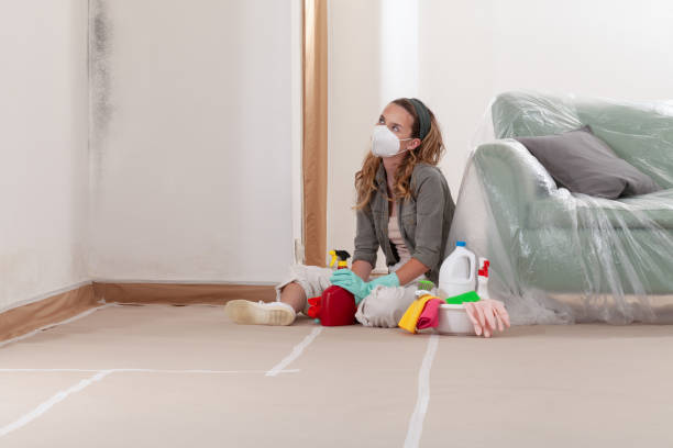 Reliable Mold Testing contractor in Linden, MI by WQB Mold Removal